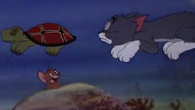 猫和老鼠：汤姆学乌龟游泳被杰瑞嘲笑，两人大闹海底世界