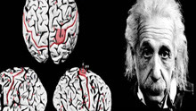 他偷走爱因斯坦大脑43年，将其切成240块，到底研究出了什么？