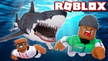 Roblox大白鲨模拟器！