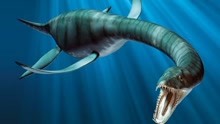 三叠纪海洋霸王蛇颈龙，唯一逃过灭绝的恐龙，可能存活于深海中？