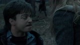哈利波特7上（片段）赫敏为救哈利将哈利毁容