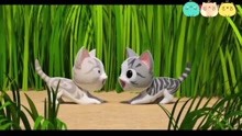 Sweet猫:  猫咪安和特里困在草丛里了，小奇快速的找到安