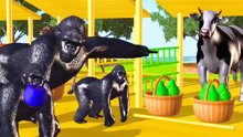 和大猩猩一起学颜色！