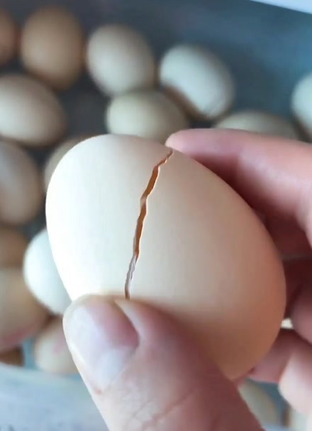 鸡蛋放进冰箱后都裂开了
