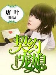契约宠媳