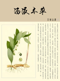 汤液本草