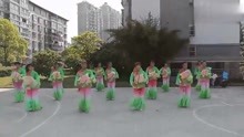 绿杨莲湘舞蹈队