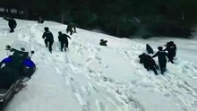 血狼犬：狗贩雪山持枪偷狗，护林警察上山围剿！