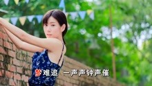 林翠萍情网简谱_林翠萍情网曲谱(2)
