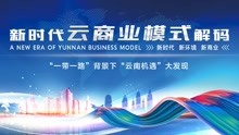 新时代云商业模式解码——花泽飞：《云文化：民营企业如何转型》