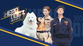 Watch the latest Hero Dog (Season 3) Episode 5 online with English subtitle for free English Subtitle