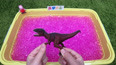 带你认识侏罗纪的巨兽龙玩具