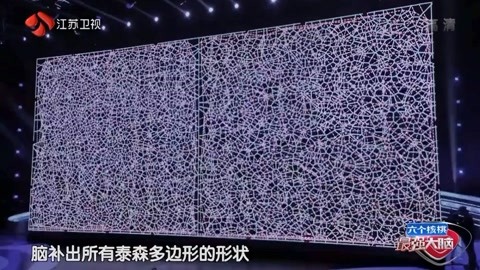 最强大脑 林建东vs罗伯特 方丹 挑战解构泰森多边形项目 Iqiyi