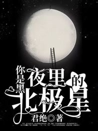 你是黑夜里的北极星