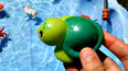 通过玩具认识海洋里的绿海龟