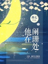 他在阑珊处