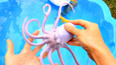带你认识在海洋里遨游的大章鱼玩具