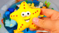 教你认识开心的黄色海星玩具