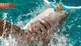 好莱坞灾难大片《鲨海逃生》即将上映   首曝中文先导预告