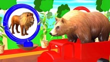 棕熊狮子坐车吃辣椒变色