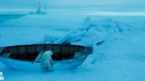 北极大冒险：男孩将船推到海里，誓要将小北极熊送回妈妈身边