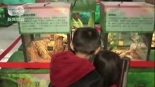 佛山:走进奇趣大自然展览 让孩子们竖起环保意识