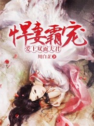 悍妻霸宠：爱上双面夫君