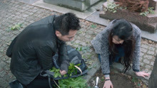 刘烨带美女去墓地找树，终于找到了臭椿树！