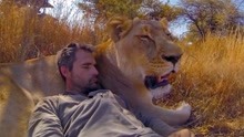 男子10年之前救下小狮子，回大草原探望，结果令他意外