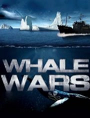 护鲸大战第2季