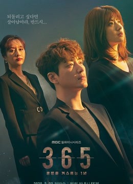 韩剧《365：逆转命运的1年》剧情介绍