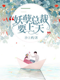 妖孽总裁要上天