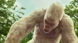 狂暴巨兽：白猩猩乔治突然发狂，跑出保护区闯入公园，破坏惊人啊