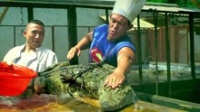 百万巨鳄：人类太疯狂，连鳄鱼都吃，一刀下去吃血盖饭！