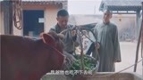 白鹿原：孝文说出这种话来，不怕让你媳妇听见吗？