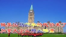 v_151400024_m_601_220_124.jpg