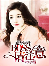 魔女嫁到：BOSS请注意