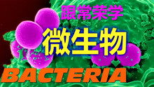 Bacteria 1 What is a microbe 什么是微生物 跟常荣学微生物 4K