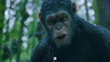 猩球崛起2：猩猩竟能口吐人言，猿王一声滚，人类吓得腿都软了