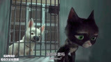 闪电狗：波特救出小猫咪，二人终于重归于好，友谊最牢靠！