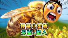 蜜蜂模拟器：我变成了一只小蜜蜂，采蜜蜇人样样通