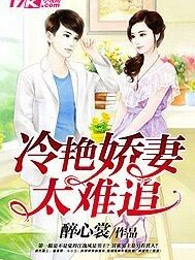 冷艳娇妻太难追