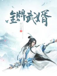 金牌武婿