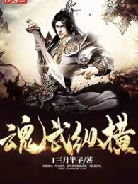 魂武纵横