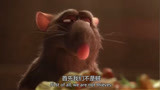 料理鼠王：小老鼠嗅觉灵敏，立志成为一名大厨师，真是优秀呢