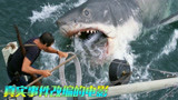 真实改编的电影：史泰龙拍摄《洛奇》被告，大白鲨原型连伤4人