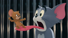 猫和老鼠真人版，爆笑依旧，超杀女陪同汤姆一起被整
