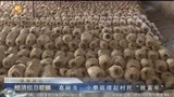 嘉峪关：小蘑菇撑起村民“致富伞”