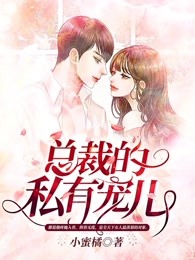 总裁的私有宠儿
