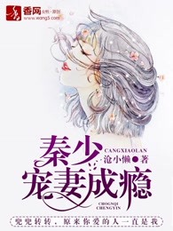 秦少宠妻成瘾